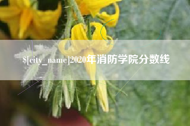 黑河2020年消防学院分数线