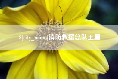 黑河消防救援总队王星
