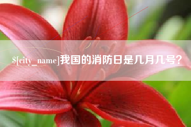 黑河我国的消防日是几月几号？