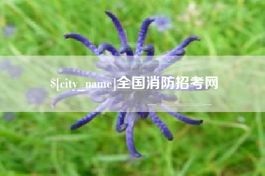 黑河全国消防招考网