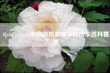 黑河中国消防救援学院山东选科要求