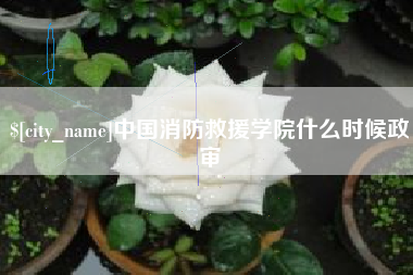 黑河中国消防救援学院什么时候政审