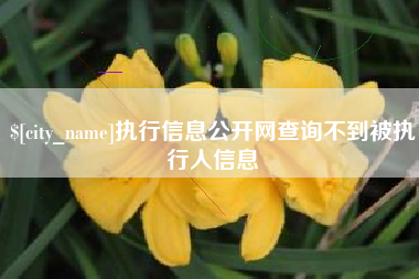 黑河执行信息公开网查询不到被执行人信息