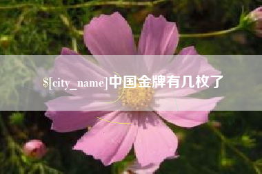 黑河中国金牌有几枚了
