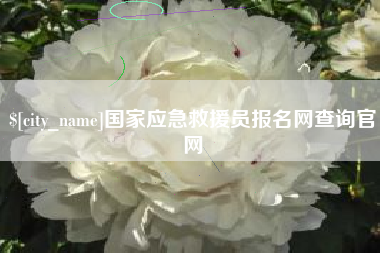 黑河国家应急救援员报名网查询官网