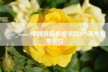 黑河中国消防救援学院2020高考报考条件