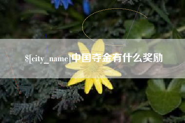 黑河中国夺金有什么奖励