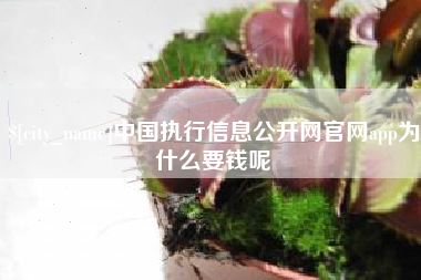黑河中国执行信息公开网官网app为什么要钱呢