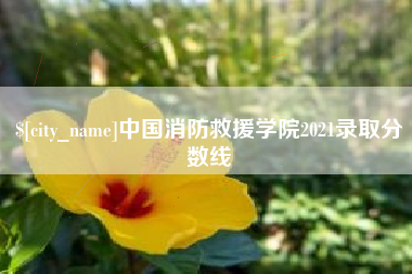 黑河中国消防救援学院2021录取分数线