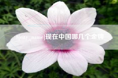 黑河现在中国哪几个金牌