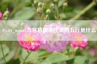 黑河九宫格数字代表的五行是什么