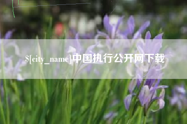 黑河中国执行公开网下载