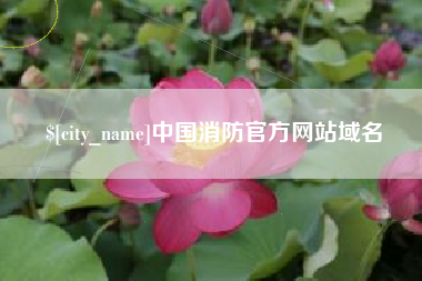 黑河中国消防官方网站域名