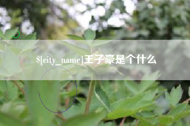 黑河王子豪是个什么