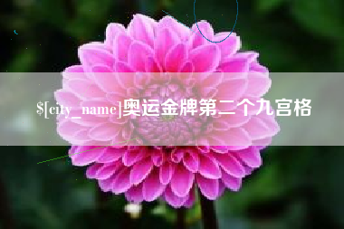 黑河奥运金牌第二个九宫格
