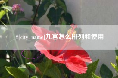 黑河九宫怎么排列和使用