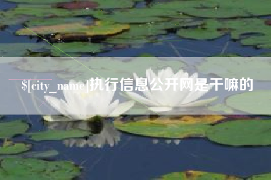 黑河执行信息公开网是干嘛的