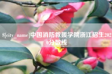 黑河中国消防救援学院浙江招生2020分数线
