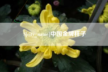 黑河中国金牌样子