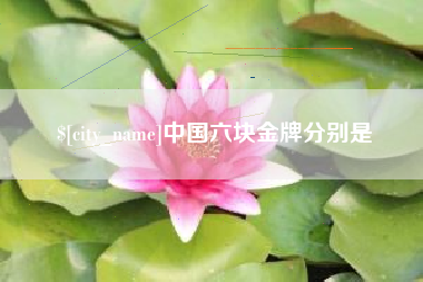 黑河中国六块金牌分别是