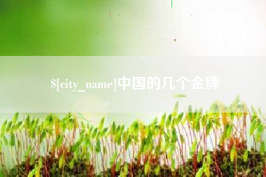 黑河中国的几个金牌
