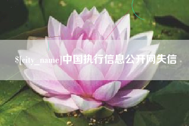 黑河中国执行信息公开网失信