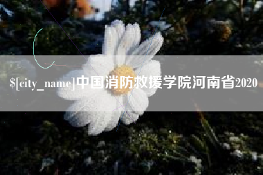 黑河中国消防救援学院河南省2020
